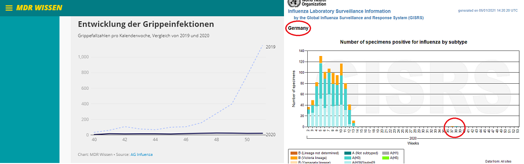   Bild: Ausschnitt aus der Website des MDR mit „keine Grippe 2020“ sowie entsprechendes Chart der WHO mit Minispitze in Woche 37 und 38, zwei rote Kreise hinzugefügt (3, 4).