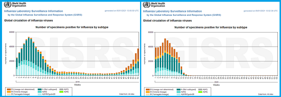 Bild: WHO-Grafiken zur weltweiten Influenza 2019 und 2020 (1).