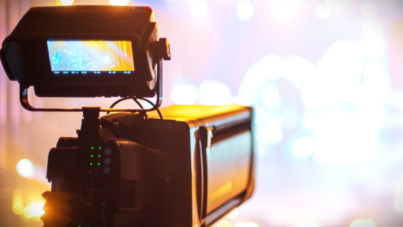 Wenn der tote Baum fällt …