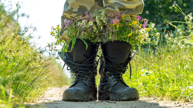 Die Waffen nieder!