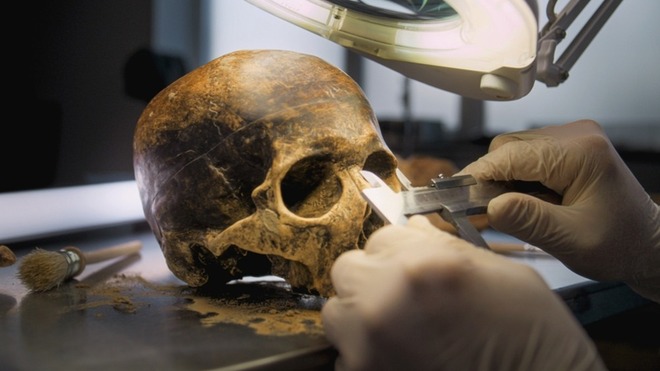 Frieden als Naturzustand