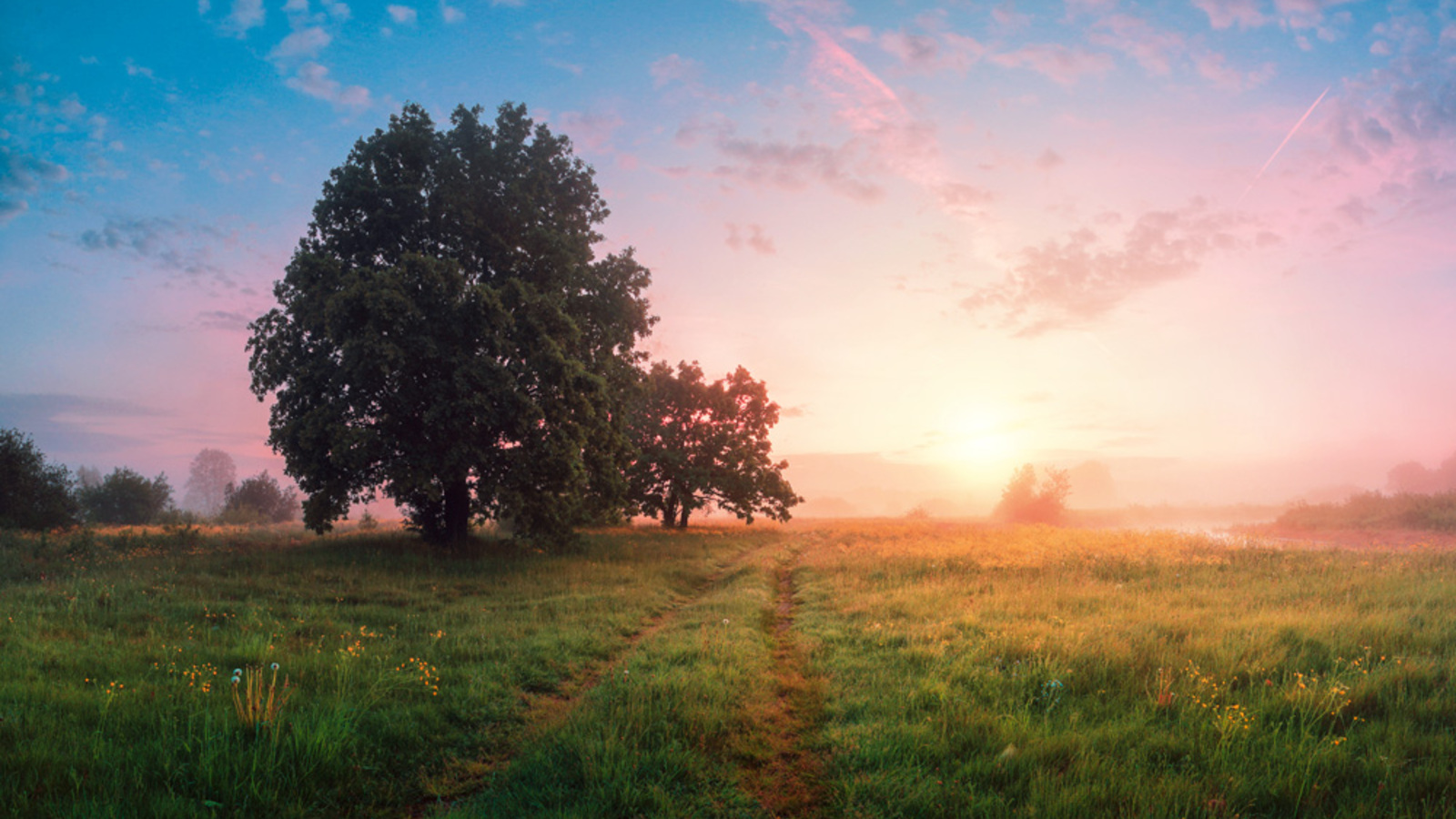 Ein besserer Weg