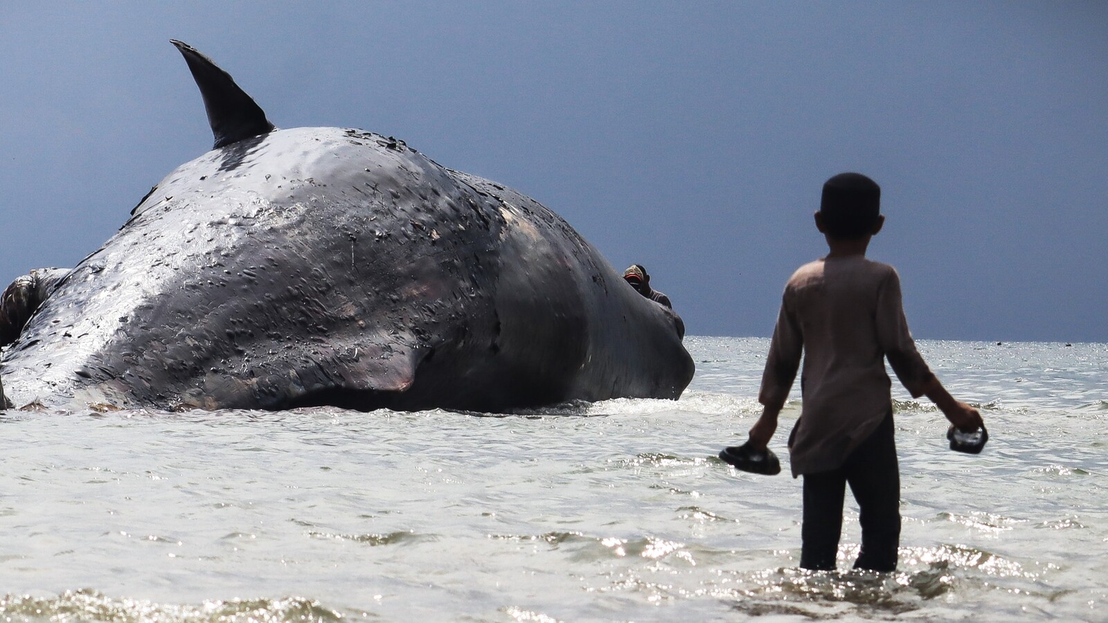 Die stille Strandung