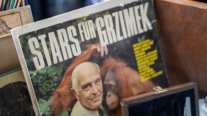 Grzimek und Familie Ploppa