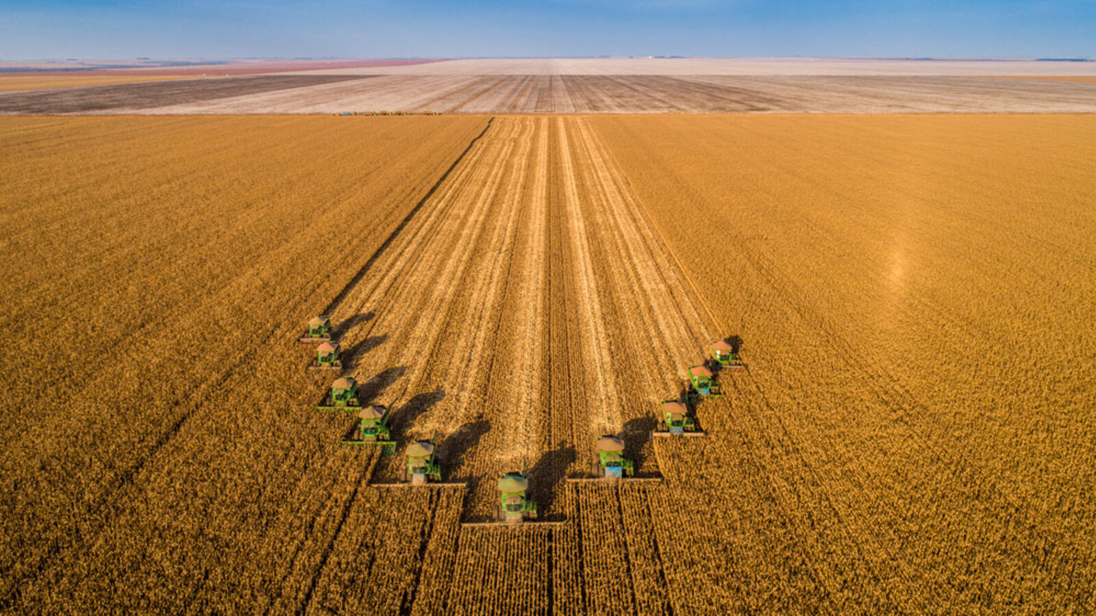 Patient Landwirtschaft
