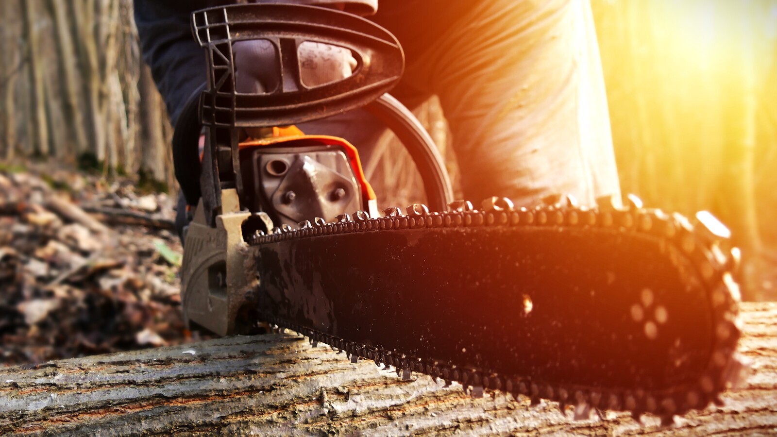 Das Fest der Motorsäge