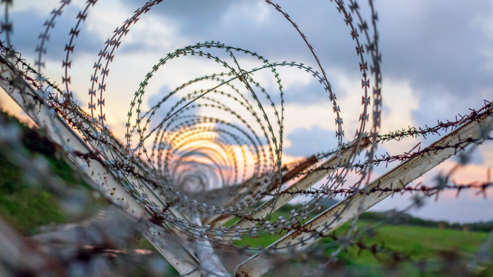 Totalitäre Herrschaft im Infektionsfieber