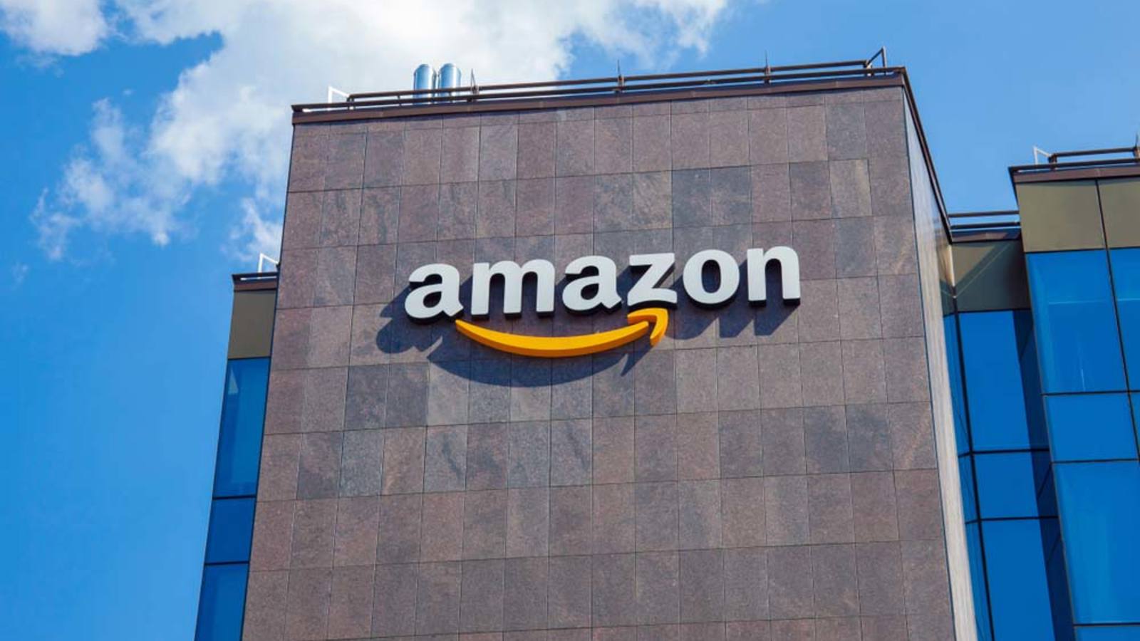 Das Amazon-Kartell