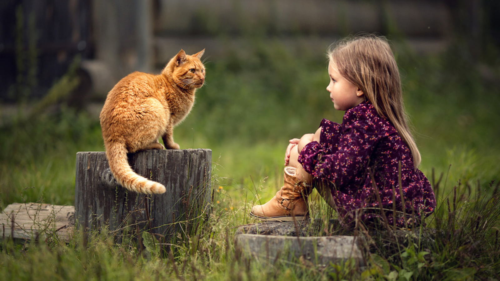 Eine kinderleichte Utopie