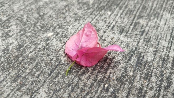 Zeilen des Glücks in Zeiten wie diesen