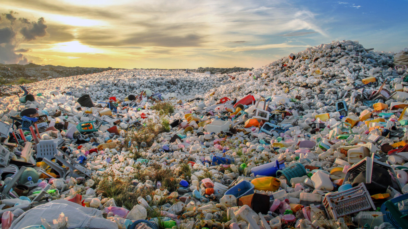 Kampf den Plastiksäcken