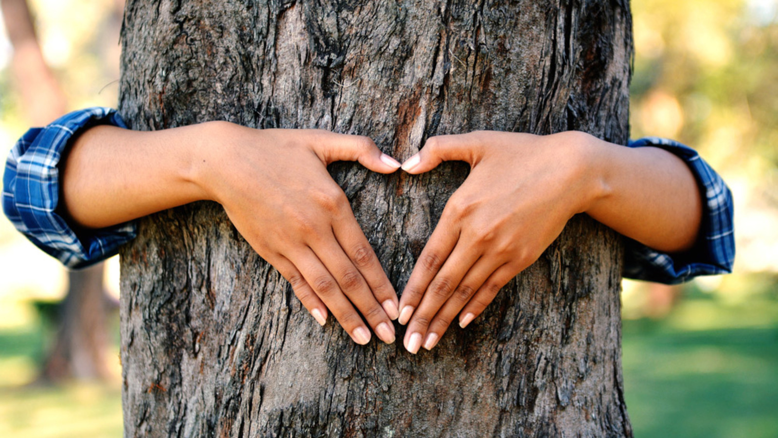 Von Liebe und Mikroben