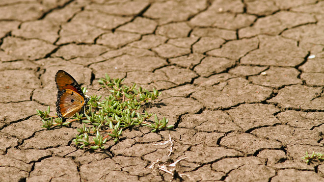 Klimawandel, was denn sonst?