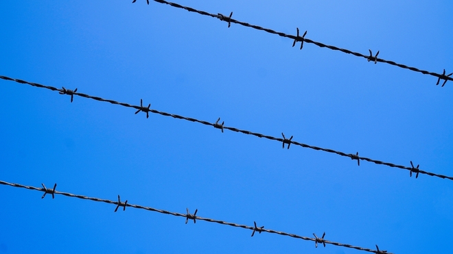 Demokratie als sanfte Gewalt