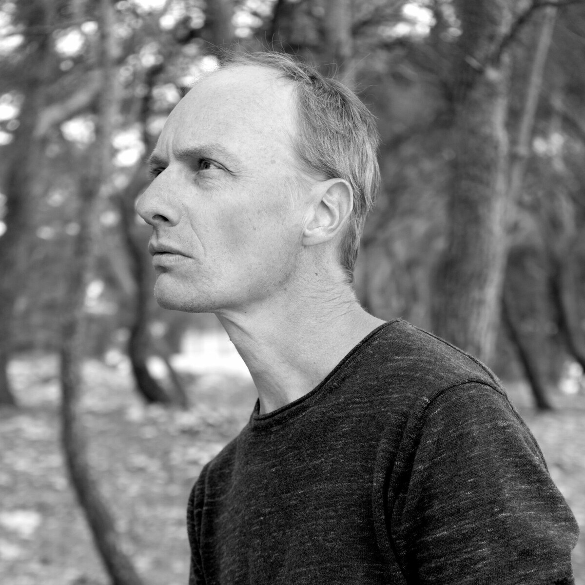 Dietrich  Brüggemann