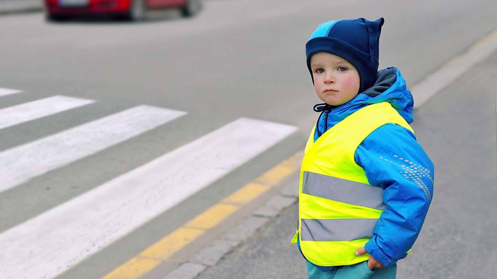 Regierung in totaler Panik!