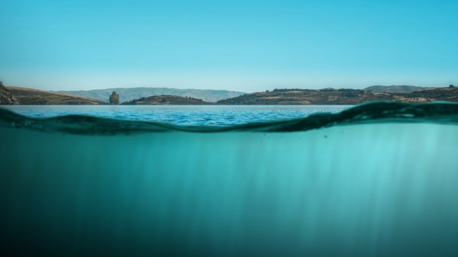 Das Imperium der Lügen