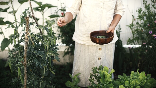 Im natürlichen Takt