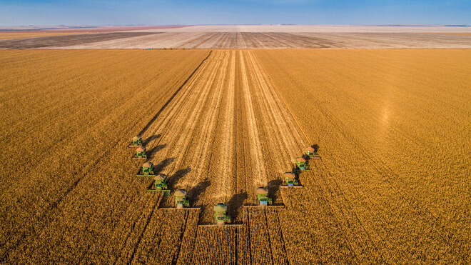 Patient Landwirtschaft