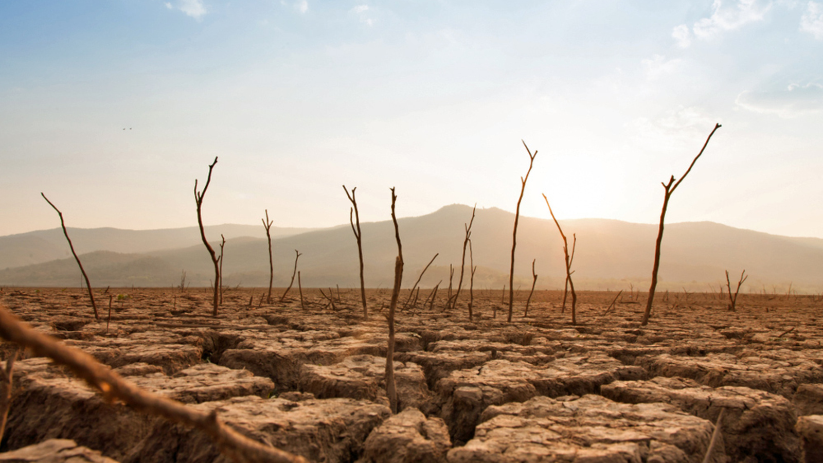 Die  Klimawandel-Knute