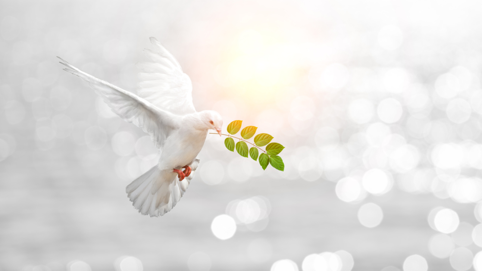 Frieden wird „gemacht“