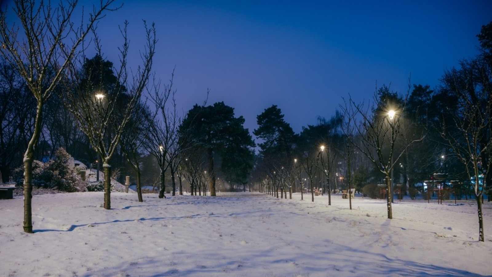 Gedanken einer Monade