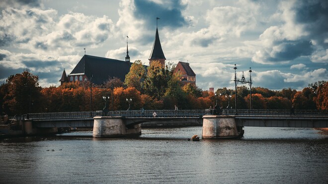 Die Mädchen von der Honigbrücke