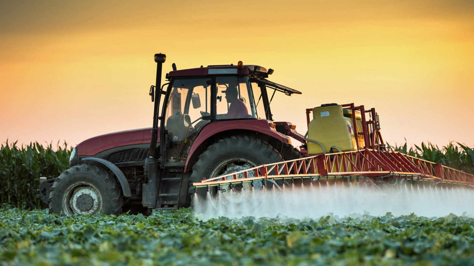 Vergiftete Landwirtschaft