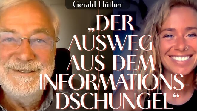 Der Ausweg aus dem Informationsdschungel