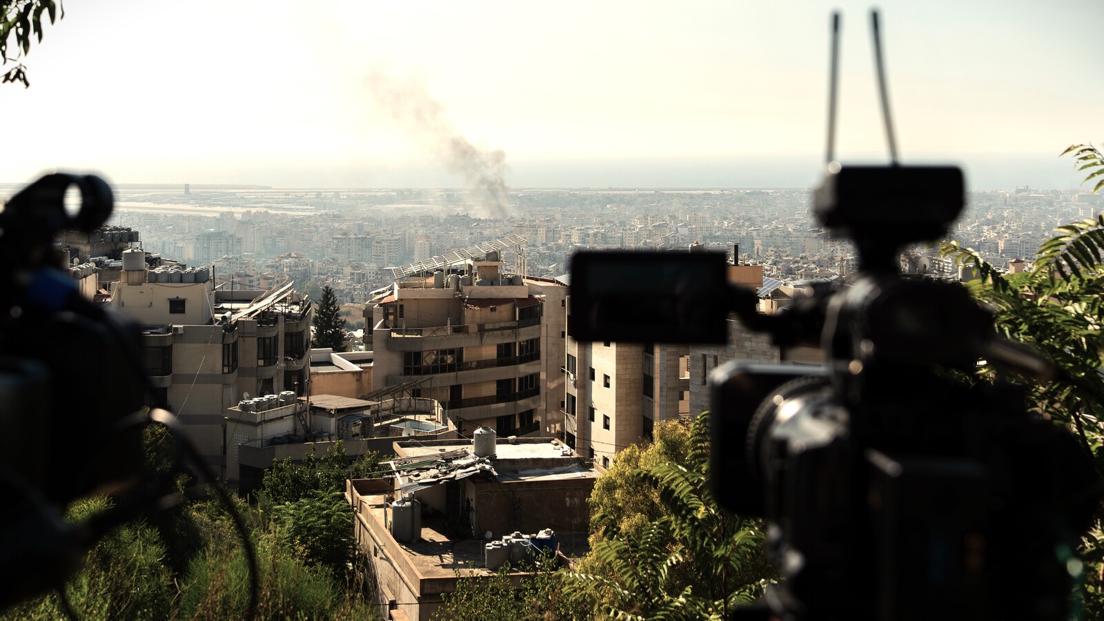 Journalistischer Schutzwall gegen die Wahrheit