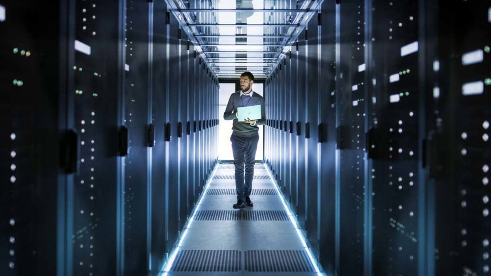 Die Herren der Daten