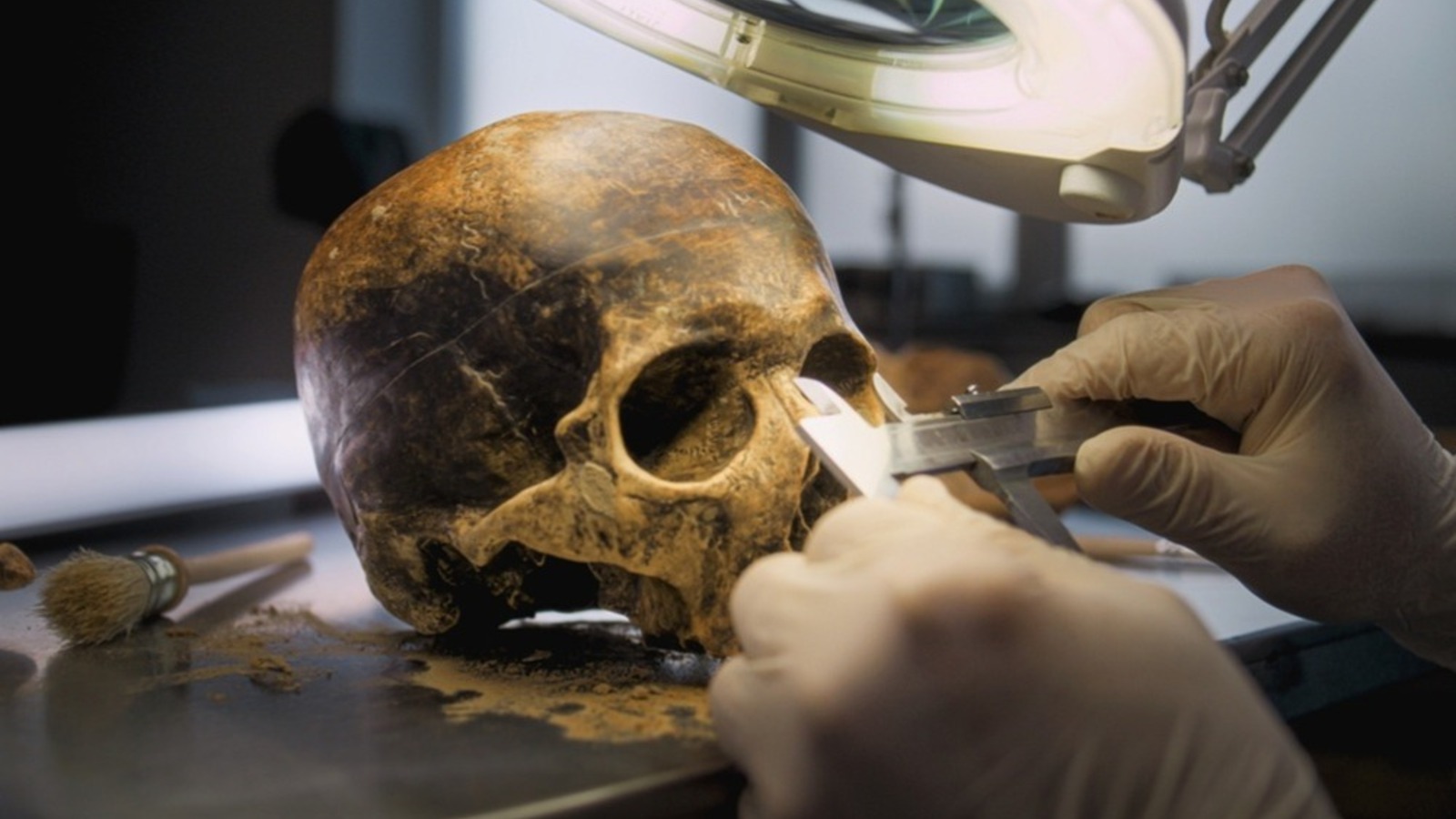 Frieden als Naturzustand