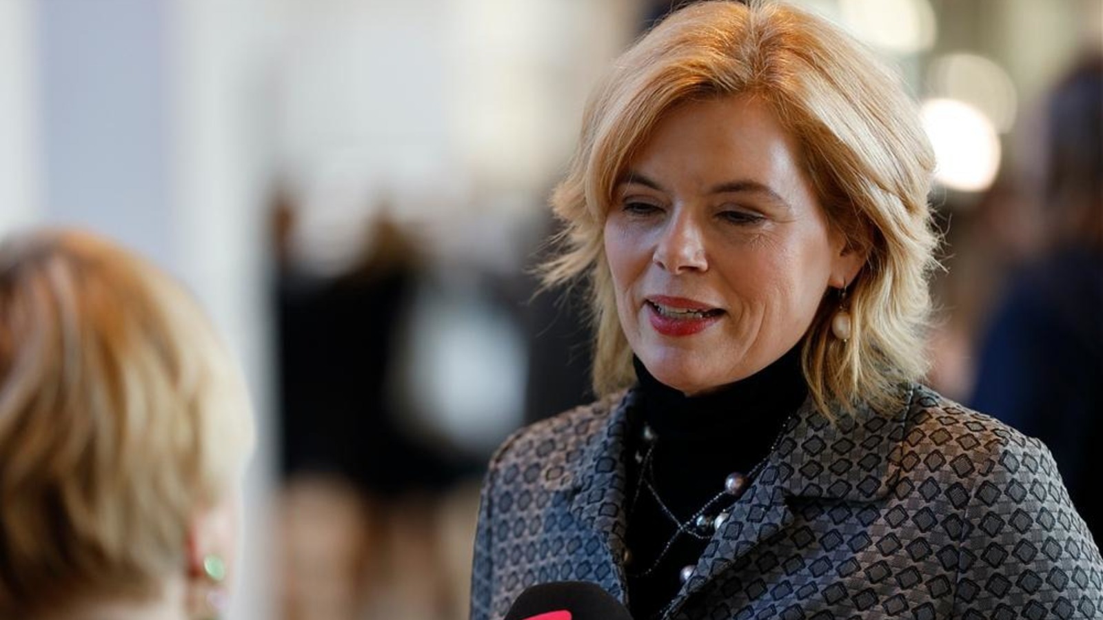 Der überflüssige Souverän