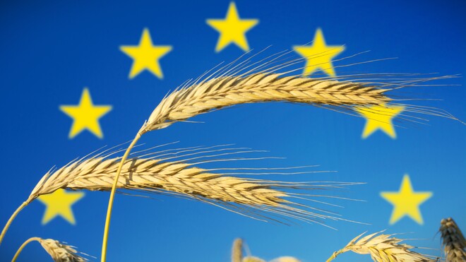 Import um jeden Preis