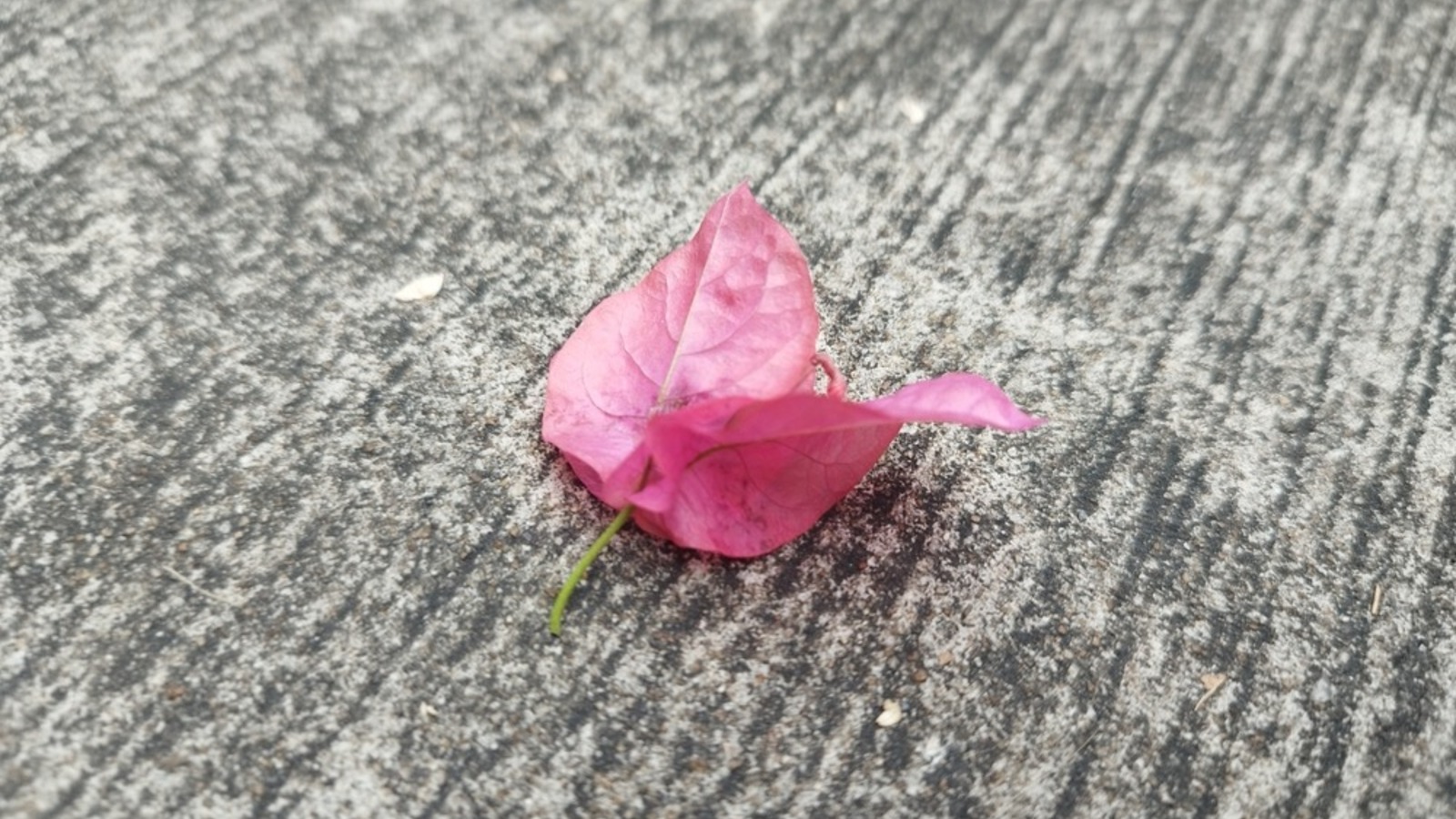 Zeilen des Glücks in Zeiten wie diesen