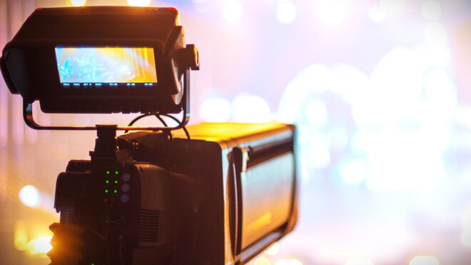 Wenn der tote Baum fällt …